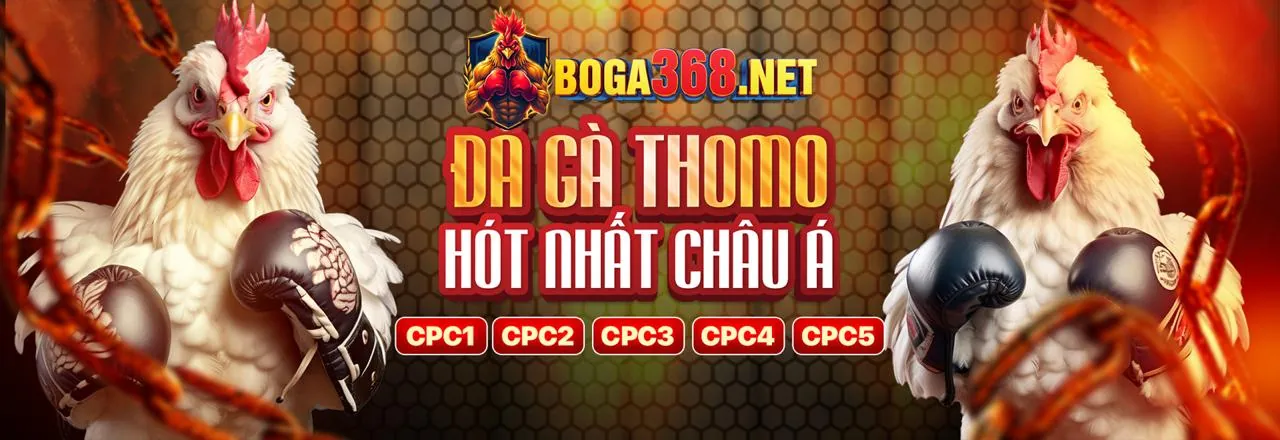 Tìm mục tải ứng dụng Alo789 và mã QR